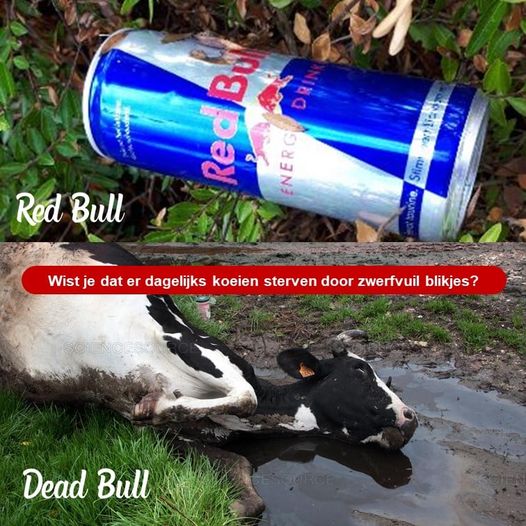 Red Bull dead bull