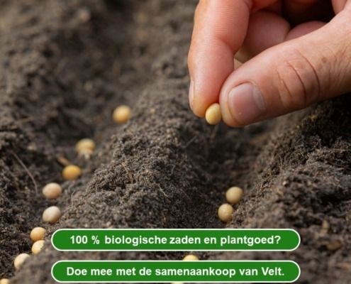 100 procent biologische zaden en plantgoed, doe mee met de samenaankoop van Velt vzw