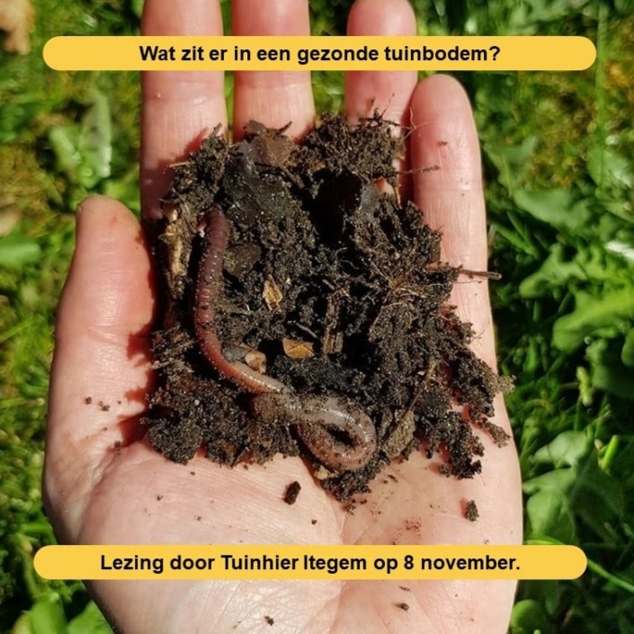 Wat zit er in een gezonde tuinbodem