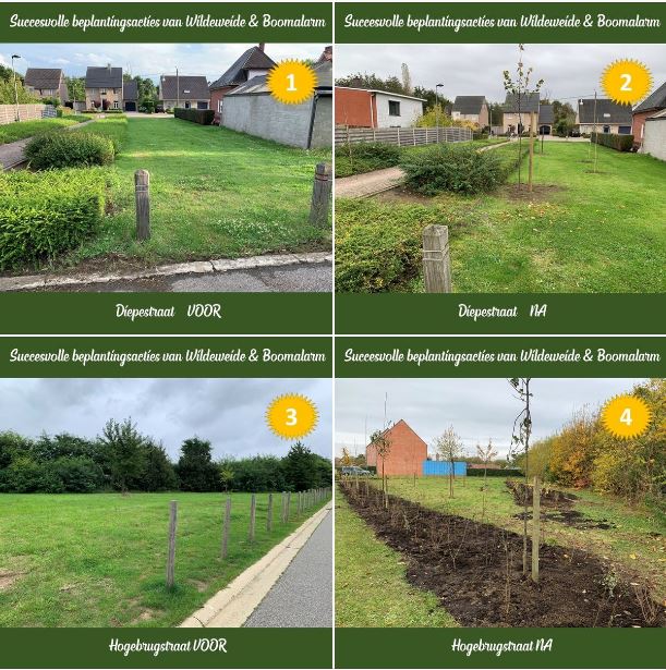 Werken WildeWeide en Boomalarm