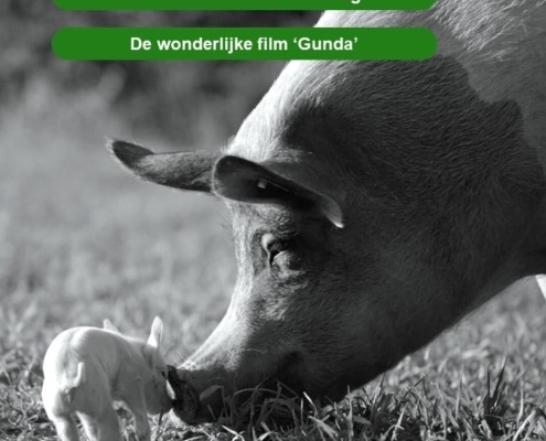 De wonderlijke film Gunda