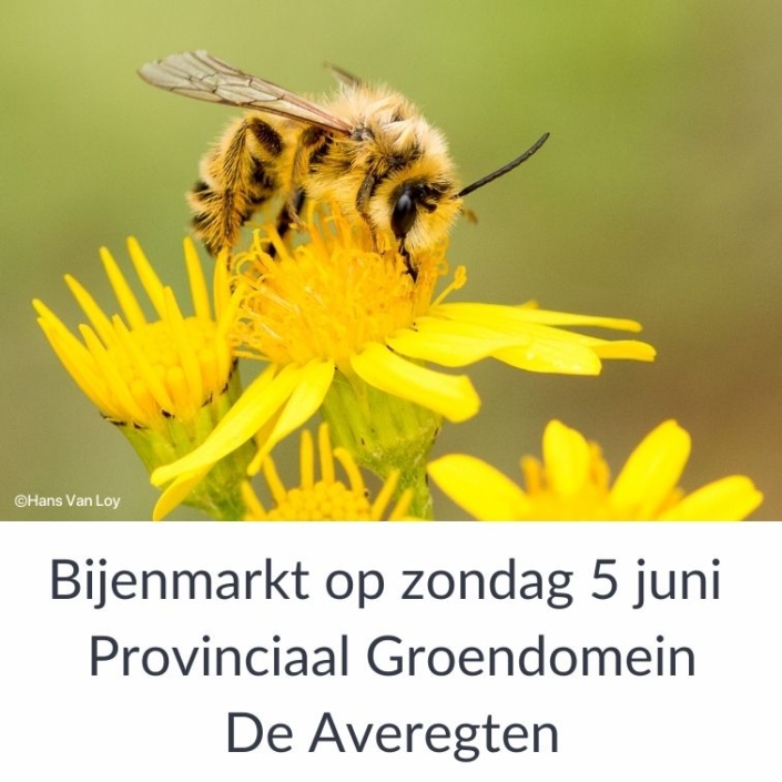 Bijenmarkt op zondag 5 juni in Provinciaal Groendomein De Averegten