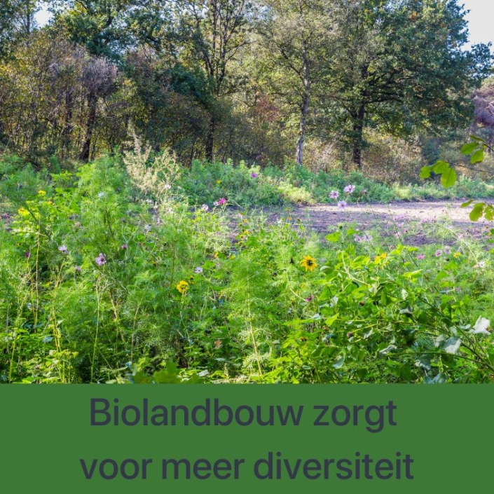 Biolandbouw zorgt voor meer diversiteit