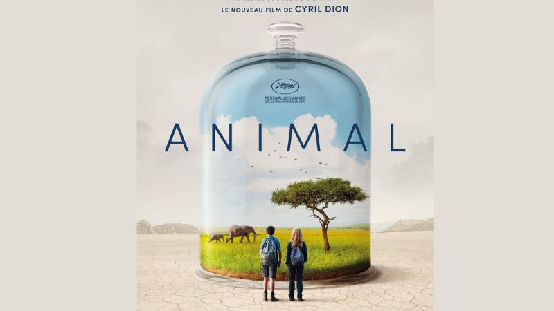 Animal Film CC Zwaneberg