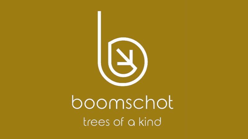 Boomschot logo